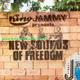 LP New Sounds Of Freedom KING JAMMY & VARIOUS ARTIST